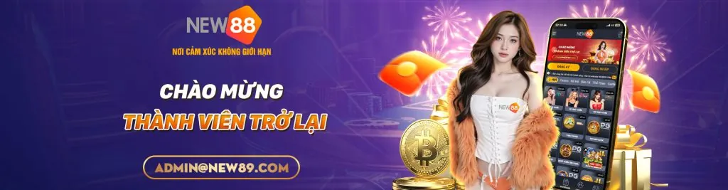 Hình ảnh chính của trang Điều khoản và Điều kiện wstar77 code