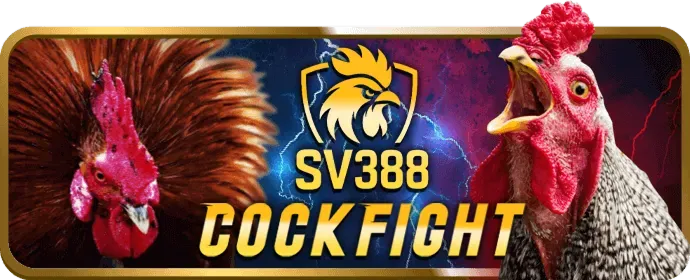 Đặc Quyền VIP wstar77 code